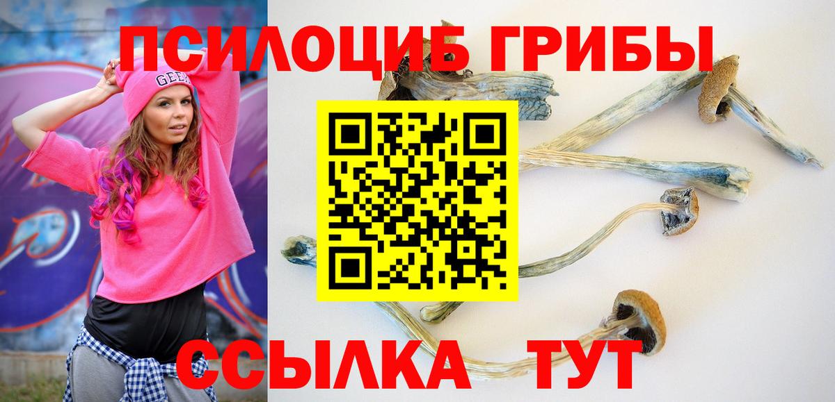 Галлюциногенные грибы мицелий  Вход с VPN  Семилуки 